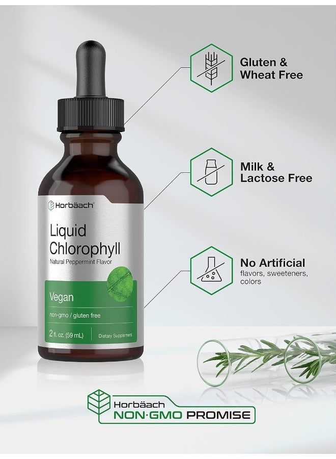 Horbäach Liquid Chlorophyll | 2 oz | Vegan, Non-GMO, and Gluten Free Formula | Natural Peppermint Flavor - Image 4