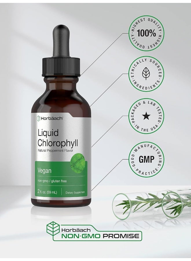 Horbäach Liquid Chlorophyll | 2 oz | Vegan, Non-GMO, and Gluten Free Formula | Natural Peppermint Flavor - Image 5