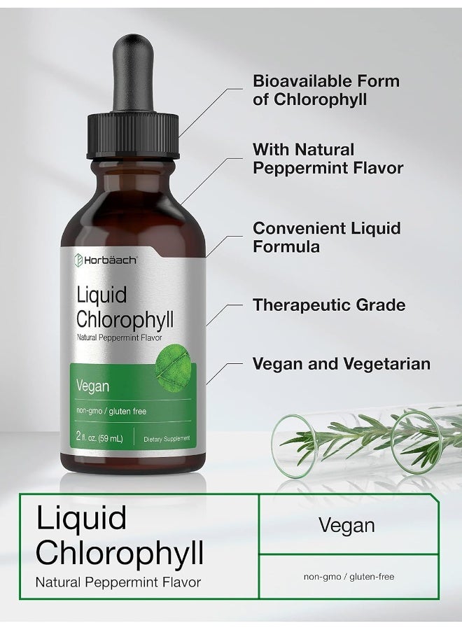 Horbäach Liquid Chlorophyll | 2 oz | Vegan, Non-GMO, and Gluten Free Formula | Natural Peppermint Flavor - Image 3