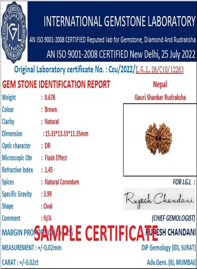 IRIS GEMS गौरीशंकर रुत्राक्ष جوري شانكار رودراكشا خرز بني نيبالي طبيعي رودراكش شيف بارفاتي رودراكش أصلي معتمد وتم اختباره بخيط أحمر - Image 5