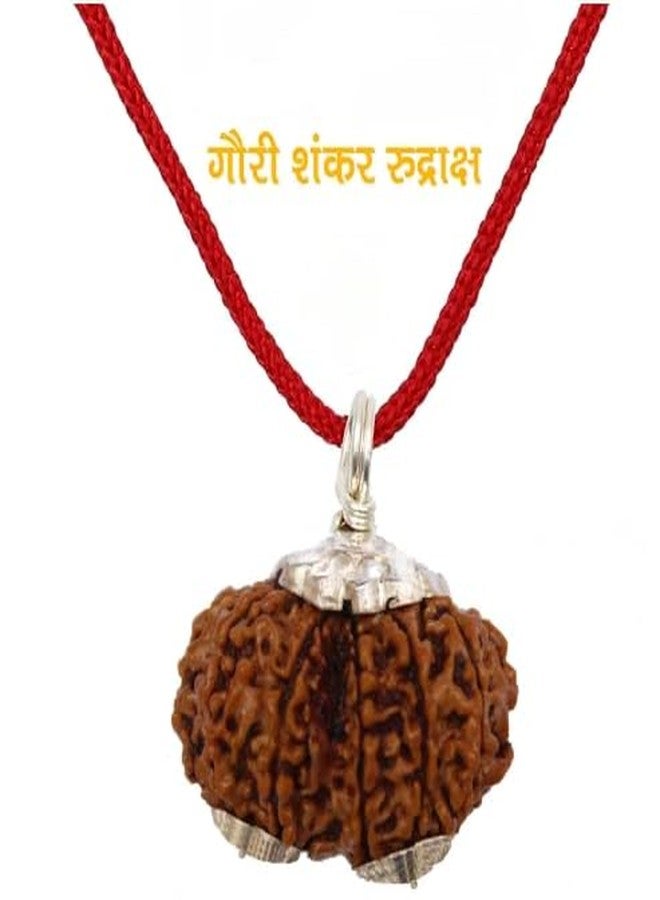 IRIS GEMS गौरीशंकर रुत्राक्ष جوري شانكار رودراكشا خرز بني نيبالي طبيعي رودراكش شيف بارفاتي رودراكش أصلي معتمد وتم اختباره بخيط أحمر - Image 4
