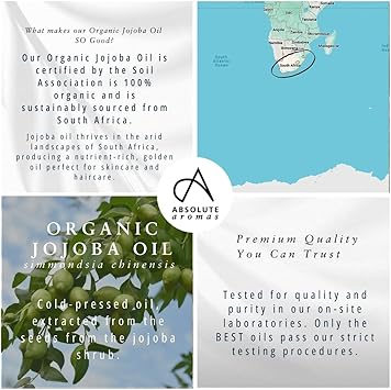 Absolute Aromas Organic Jojoba Oil 100ml in Glass Bottle Pure Natural Vegan and Cruelty Free - Image 4