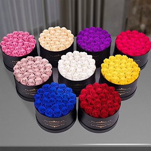NATROSES Gifts for Her 27 Piece Forever Preserved Roses in a Box, Preserved Flowers for Delivery Birthday, Flowers Gifts for Mothers Day, Purple - Image 5