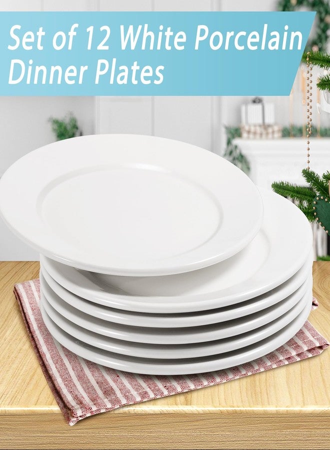 Bgtecho 12 PCS White Dinner Plates, 8 Inch Round Dinner Plates Set, Ceramic Dessert/Salad Plate, Porcelain Appetizer Plate, Microwave & Dishwasher Safe - Image 3
