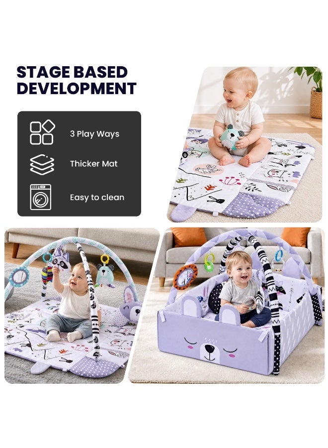 HI-FINE Baby Gym Play Mat, 8-in-1 Tummy Time Mat & Activity Gym, Washable Ball Pit, Infant Play Mat with Detachable Toys for Sensory Exploration and Motor Skill Development - Image 4