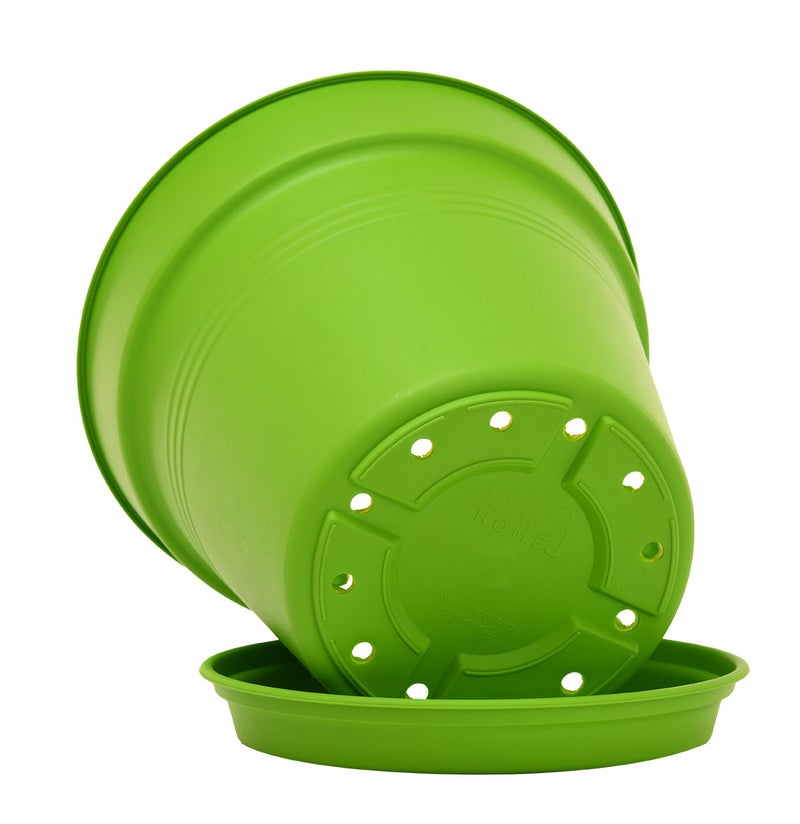 Mintra Round Flower Pot Planter with bottom tray - Plastic | Color - Light Green | Size - 22x22x24cm | Asthetically Decorate Your Terrace, Garden or Patio. Ideal for outdoor or indoors - Image 2