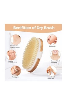 ORiTi ORiTi Dry Body Brush,Shower Brush with non Slip Straps,Natural Bristles Bath Brush, ​for All Kinds of Skin, Cleans the Body Easily  - Image 3