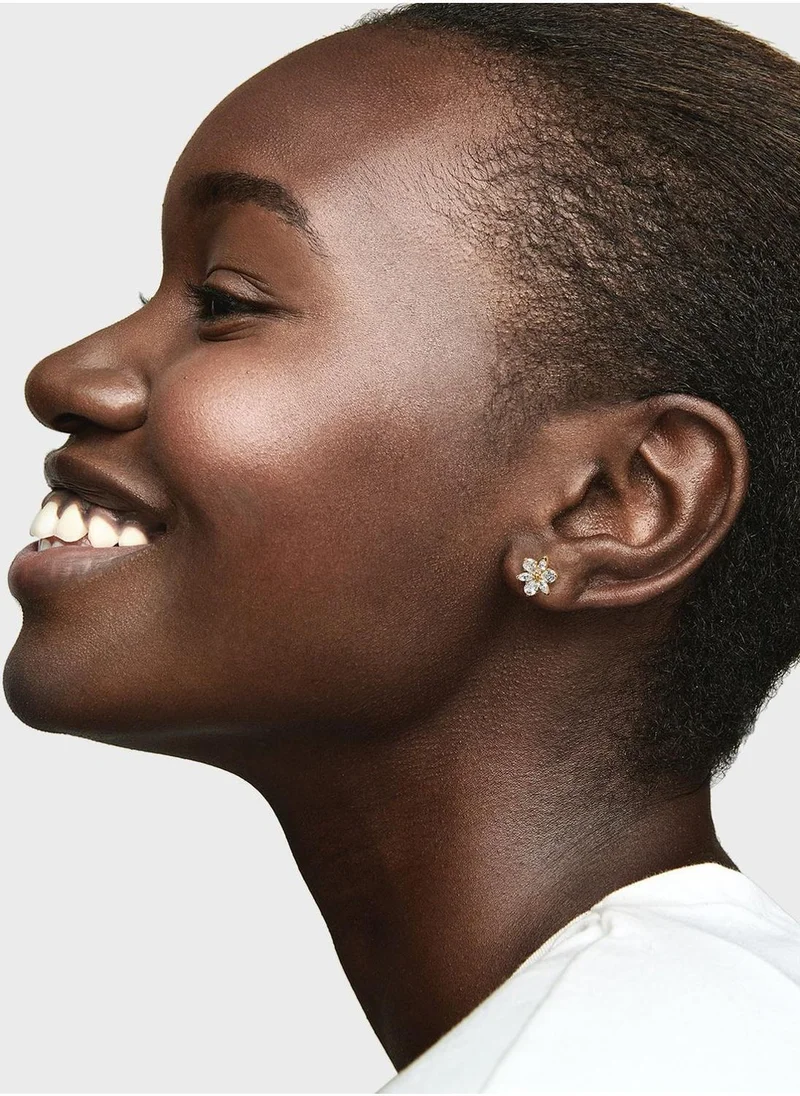 PANDORA  Sparkling Herbarium Cluster Stud Earrings for Women | Best Price UAE