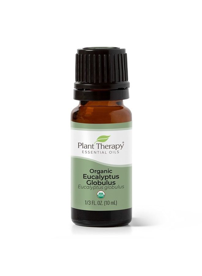 Plant Therapy Organic Eucalyptus Globulus Essential Oil 100% Pure, USDA Certified Organic, Undiluted, Natural Aromatherapy, Therapeutic Grade 10 mL (1/3 oz) - Image 1