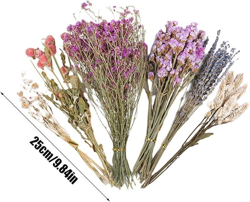 قفص الهامستر الطبيعي ديكور زهرة فراش الهامستر مأوى للأرنب القنفذ - Image 5