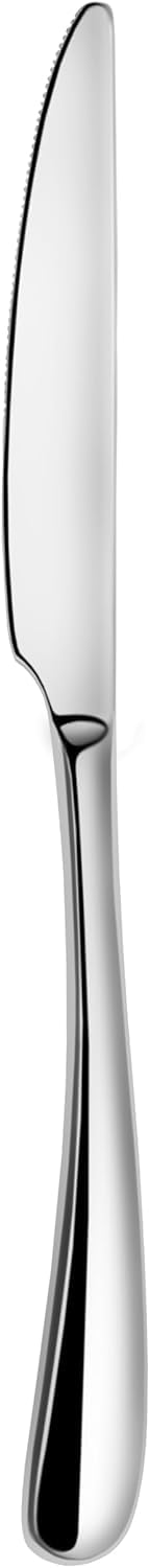 Artaste Rain II Forged 1810 Stainless Steel Stainless Steel Set of 12 Dinner Knife 95Inch