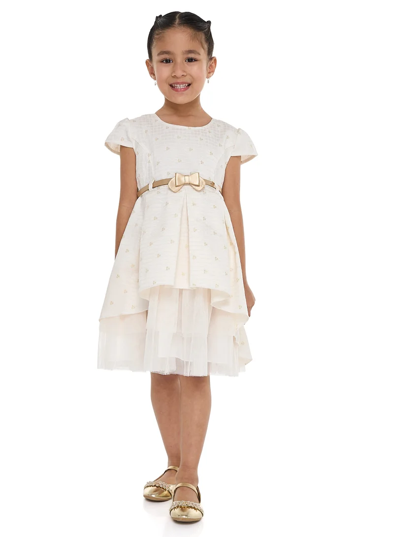 victor and jane Embroidered Tulle Party Dress