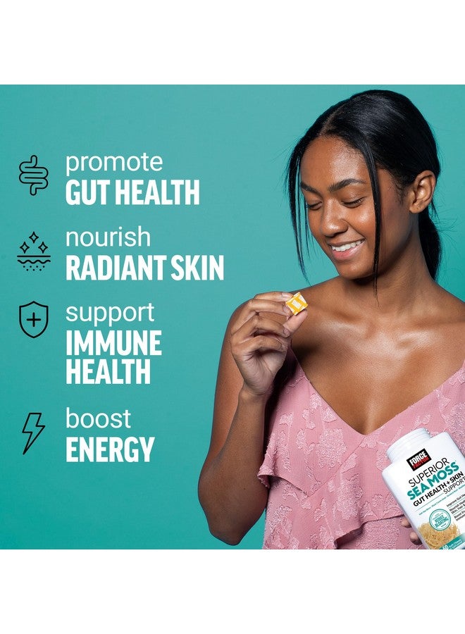 FORCE FACTOR Superior Sea Moss Gut Health + Skin Support, Support Gut Health & Healthy Skin, Hair & Nails, Boost Energy & Immune Health, with Biotin & LactoSpore Probiotics, S’Mores, 60 Soft Chews - Image 2