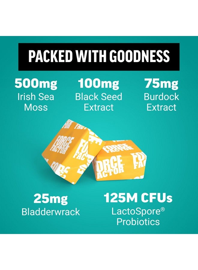 FORCE FACTOR Superior Sea Moss Gut Health + Skin Support, Support Gut Health & Healthy Skin, Hair & Nails, Boost Energy & Immune Health, with Biotin & LactoSpore Probiotics, S’Mores, 60 Soft Chews - Image 3