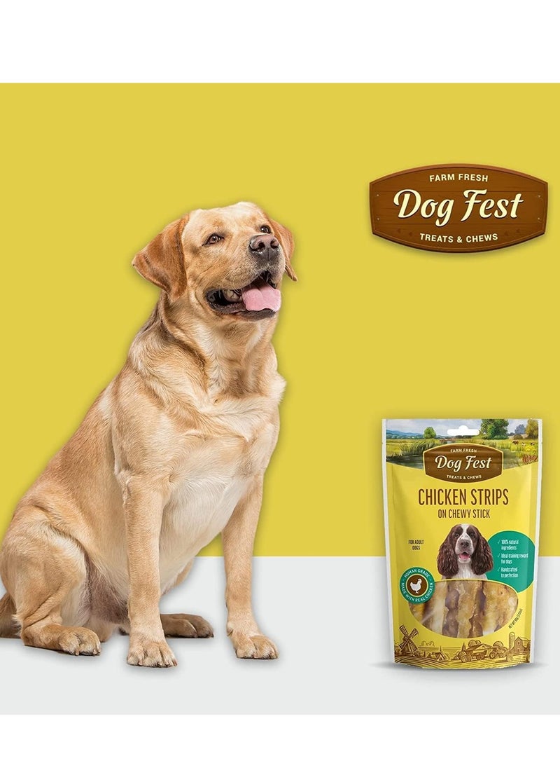 Dog Fest - Dog Fest Chicken Strips On A Chewy Stick Treats For Adult Dogs 90 Gm - Image 1