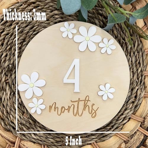 Whittlewud Wooden Baby Milestone Cards, Baby Milestone Discs for Photoshoot - Interchangeable Baby Month Cards for First Year Memories - Perfect Baby Shower Gift - Image 3