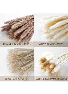 Generic 100 Pcs Dried Pampas Grass Dried Flowers Of Small Reeds Boho Natural Flowers Arrangements White Reed Bunny Tails for Home Decor Flower Living Room Balcony Wedding Party 