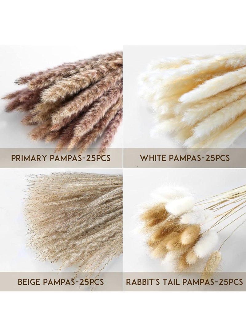 Generic 100 Pcs Dried Pampas Grass Dried Flowers Of Small Reeds Boho Natural Flowers Arrangements White Reed Bunny Tails for Home Decor Flower Living Room Balcony Wedding Party 