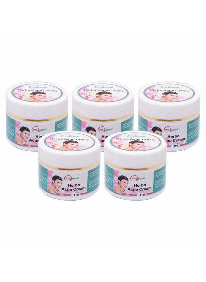 Way2Herbal Herbo Acne Cream 50g (50 Gram Pack of 5) - pzsku/ZAC6E26D8129A5D923935Z/45/_/1738306439/9bcc8d19-1fa0-4662-b983-4ec43eb1f123