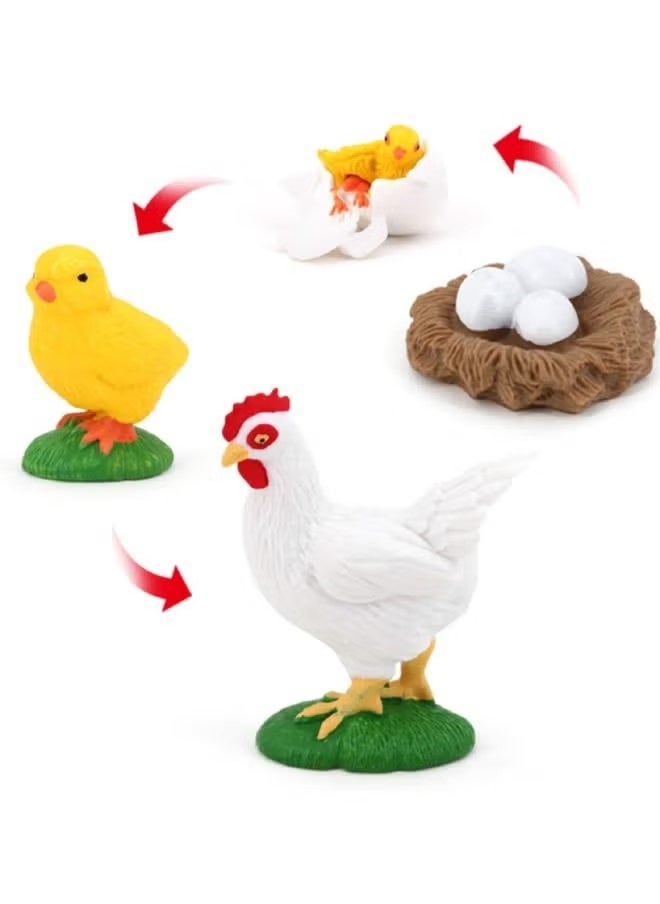 4 Piece Rooster Growth Cycle Model Figure, Realistic Animal Figurines, Animal Growth Cycle Biological Model, Lifelike Rooster Life Cycle Model Set for Kids Education, Learning Gifts, Party Favors - pzsku/ZAC6EC0A7E8959318D060Z/45/_/1725527435/2dfca763-ffb1-454e-bd62-16b5e3d637e8