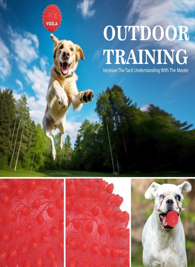 ZUFFIE Spiked Dog Ball - Chew & Teething Toy for Puppies - Safe, Bouncy, and Fun Interactive Play Ball - Great for Dental Health & Active Play - Red - Image 4