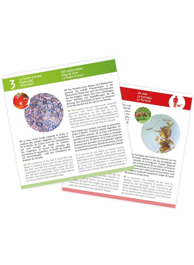 BUKI Microscope Sample Slides Set  - Image 5