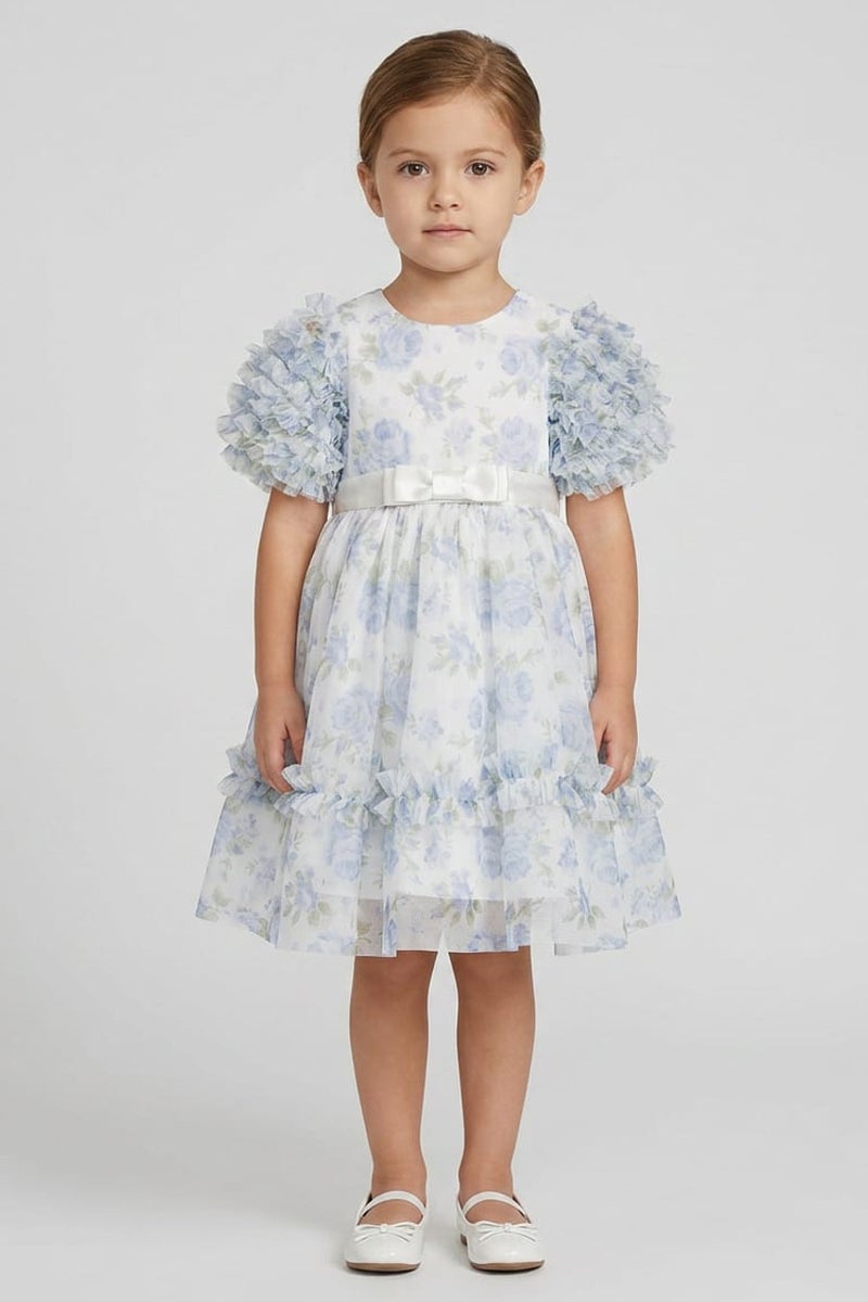 Lunamoon Toddlers Girl Floral Print Mesh Dress, Multicolor - Image 1