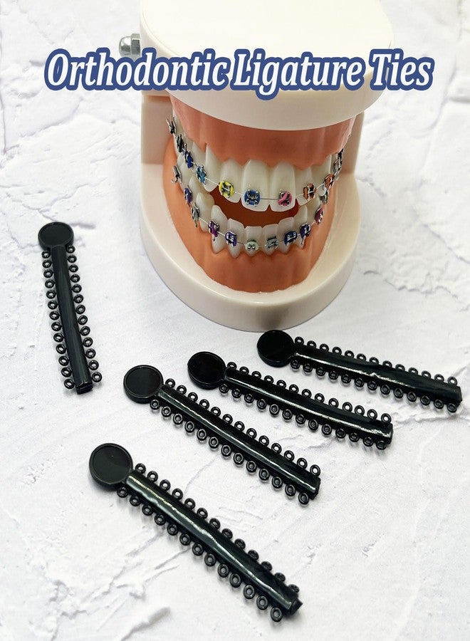 HRASY 1040 pcs Orthodontic Ligature Ties Black Braces Rubber Bands O-Ring, Black - Image 4
