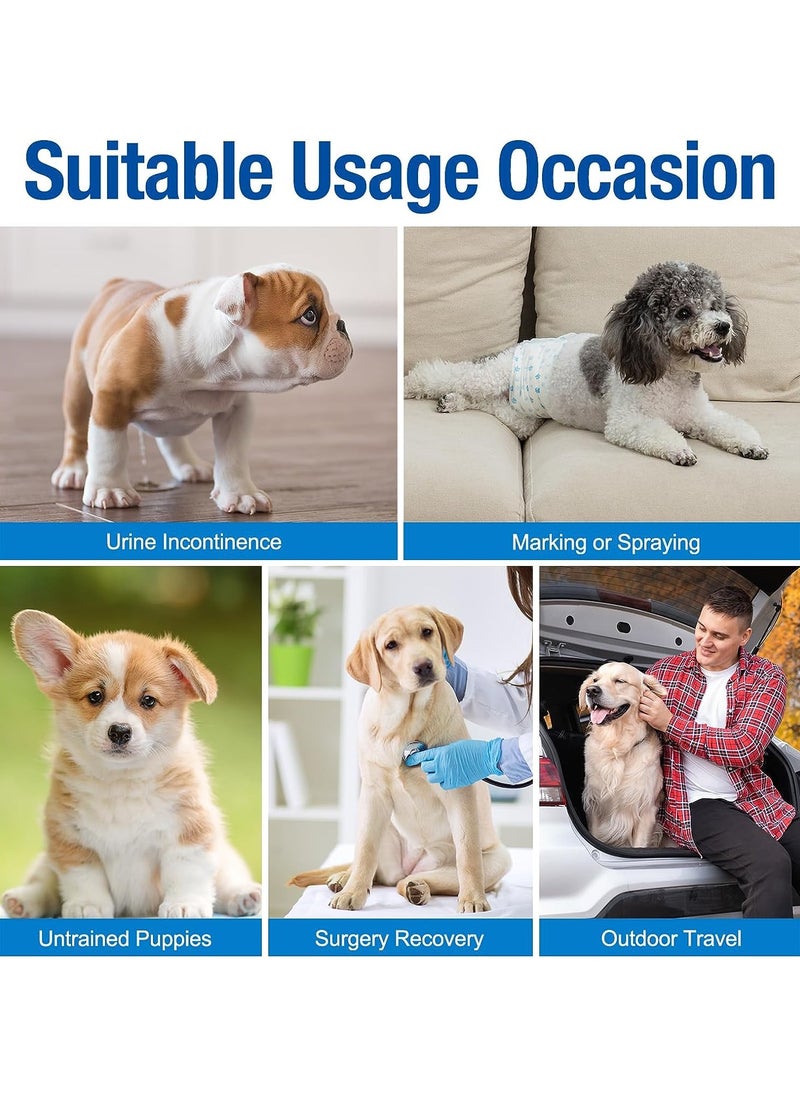 Pet Soft - Disposable Male Dog Wraps 12 Pieces Pack - Image 1