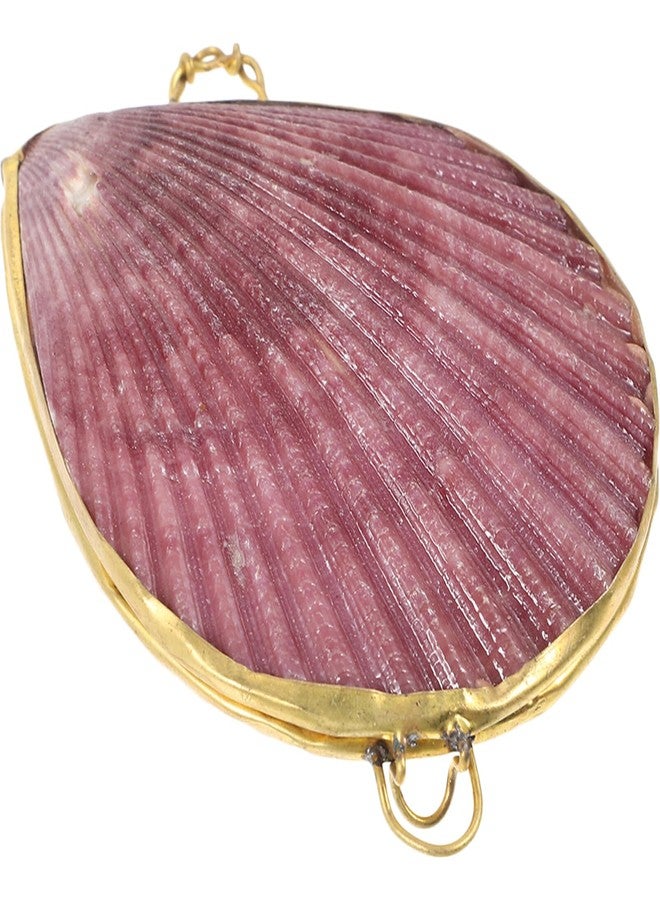 PACKOVE Shell Trinket Box Shell Jewelry Box Sea Shells Figurines Seashell Storage Box Mermaid Jewelry Box Unique Ring Box Jewelry Trinket Box Decorative Jewelry Boxes - Image 1