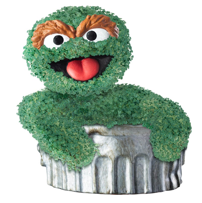 شيا وعاء زرع فخار مزخرف من Chia Pet Oscar The Grouch مع مجموعة بذور، سهل الاستخدام وممتع للنمو، هدية مبتكرة مثالية لأي مناسبة - Image 2