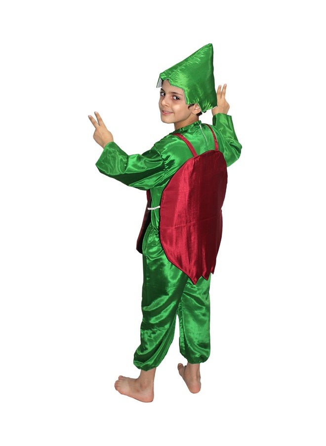 Kaku Fancy Dresses Kaku Fancy Dresses Polyester Pomegranate Fruits Costume -Maroon, 3-4 Years, for Boys & Girls  - Image 3