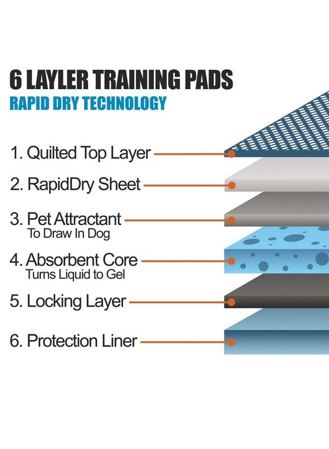 RvPaws Dog Training Pads/Size:XL/60x90 cm/40 Count/Training Pee and Potty Pads with Quick Drying Surface and Absorbent Core/Suitable for Small & Large Breed Puppies - Image 3