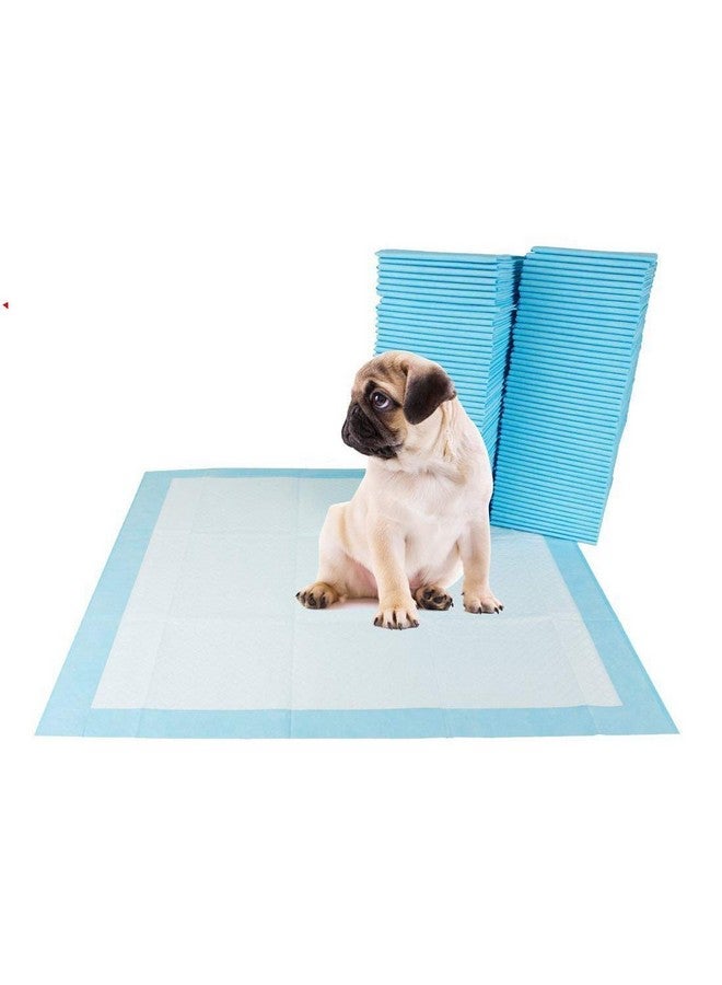 RvPaws Dog Training Pads/Size:XL/60x90 cm/40 Count/Training Pee and Potty Pads with Quick Drying Surface and Absorbent Core/Suitable for Small & Large Breed Puppies - Image 1