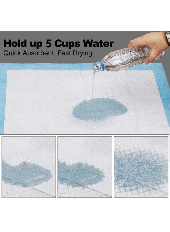 RvPaws Dog Training Pads/Size:XL/60x90 cm/40 Count/Training Pee and Potty Pads with Quick Drying Surface and Absorbent Core/Suitable for Small & Large Breed Puppies - Image 5