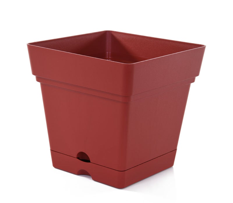 Mintra Square Flower Pot Planter with bottom tray - Plastic | Color - Brown | Size - 18x18x18cm | Asthetically Decorate Your Terrace, Garden or Patio. Ideal for outdoor or indoors - Image 1