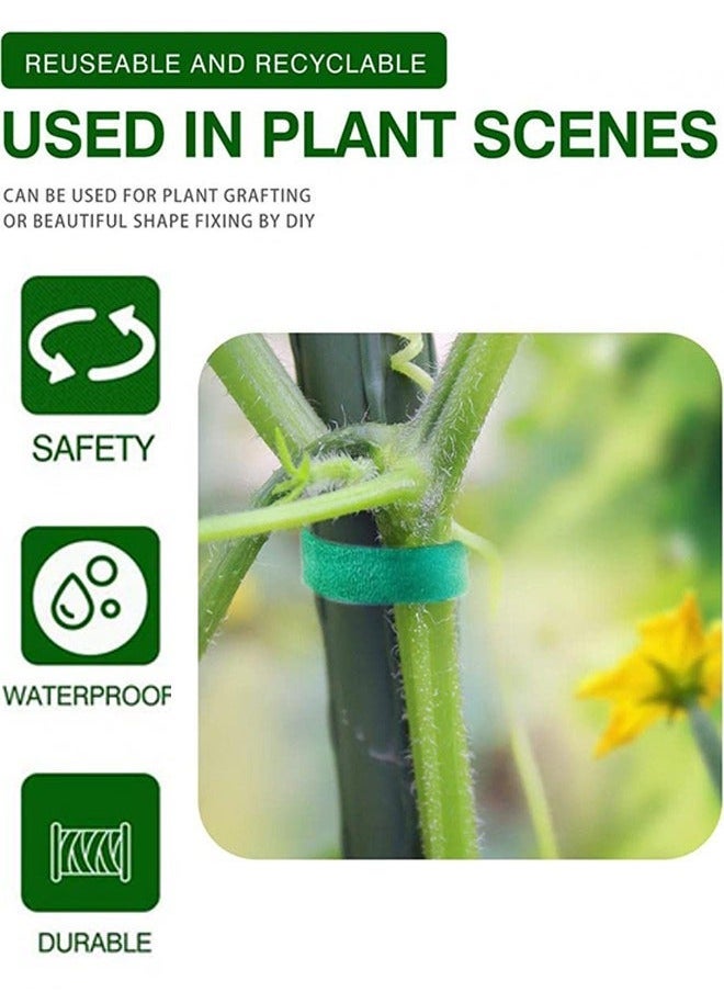 Generic 3 Pieces Plant Ties Garden Tape, Reusable Nylon Plant Tie Strap 5M Self Adhesive Tape Adjustable Plant Supports for Effective Growing Tree, Green Ties for Home Garden Sorting Accessories  - Image 2