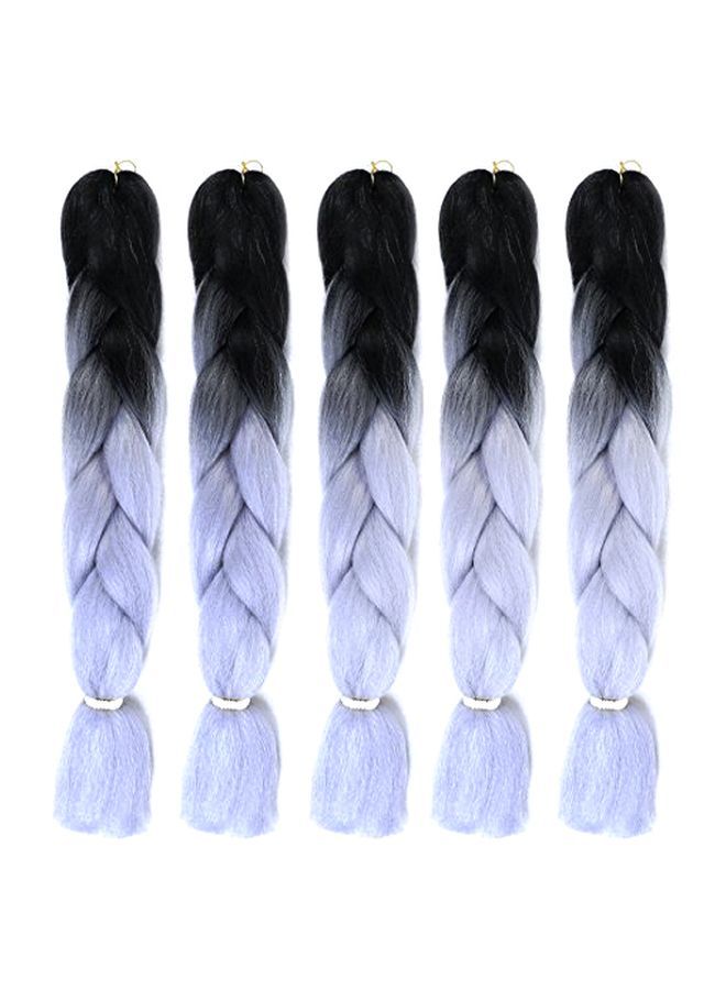NIBEMINENT 5-Piece Twist Braided Hair Extension Black/Grey 24inch - Image 1