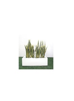 GRP Fiberglass Rectangular Long White Pot 120x30x30cm (LWH)) for Plants and Flower Modren Durable Pots For Indoor/Outdoor Planter - pzsku/ZAC7E29082C99FA17FAD4Z/45/_/1721569270/de578510-ec24-46af-a9fb-5df68675fd34