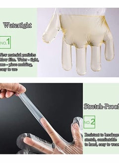 Y&D Disposable Gloves, 100 PCS Plastic Food Prep Kitchen Grade for Kitchen, Cooking, House Cleaning, Hair Coloring, Serving, Gardening, Driving, Sanitation [One Size Fits Most ]  - Image 4
