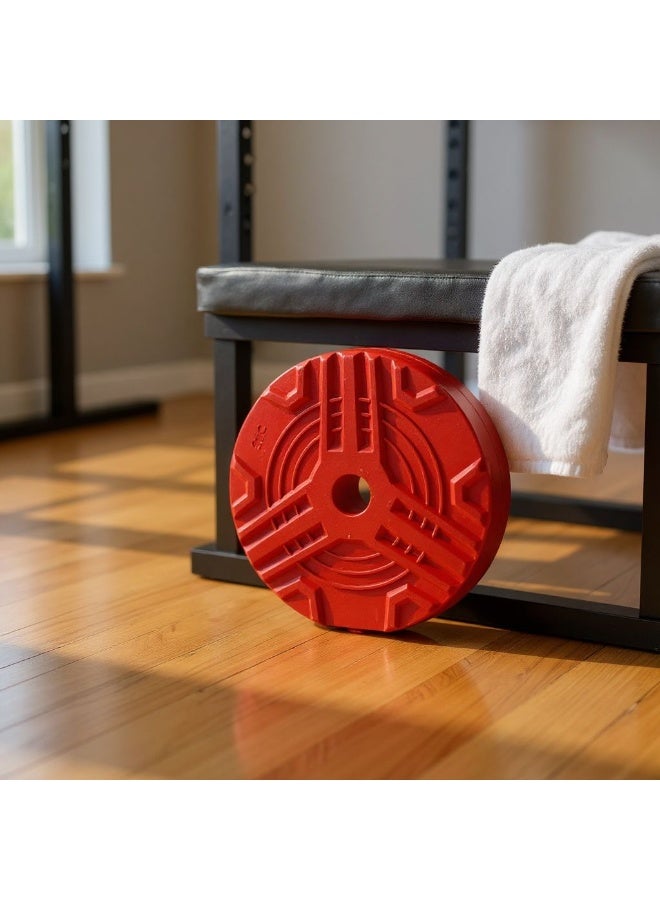 SportQ Sport Q Dumbbell Plates or Dumbbell Disc Weight Lifting Slice Dumbbell Hoop (1 Piece) - Image 2