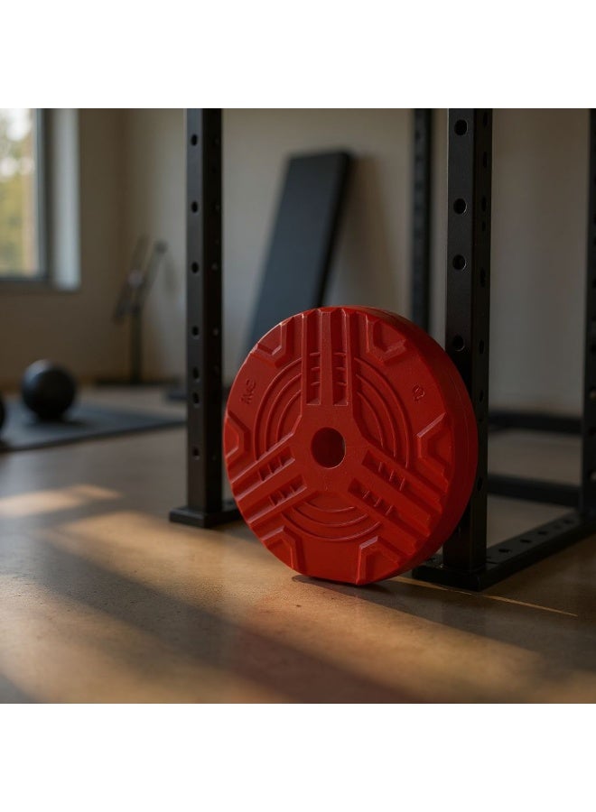 SportQ Sport Q Dumbbell Plates or Dumbbell Disc Weight Lifting Slice Dumbbell Hoop (1 Piece) - Image 3