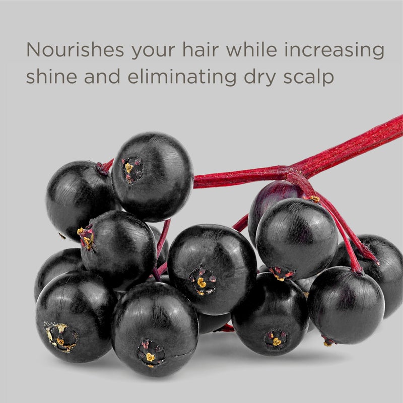 Hairitage Color Check Color Care Hair Mask for Color-Treated Hair and Dry & Damaged Hair - UV Protection - Strengthening Moisture Repair Hair Treatment - Color-Safe Hair Mask - 8 fl oz - Image 4