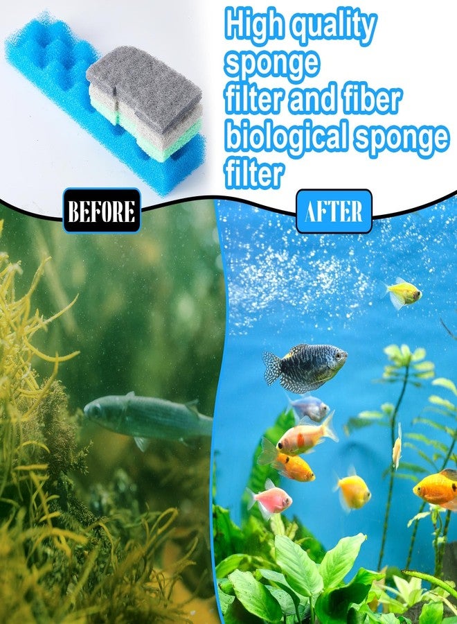 Threlaco مجموعة وسائط ترشيح بديلة من ثريلاكو، 40 قطعة، متوافقة مع فلاتر فلوفال 406/407، تتضمن 4 فلاتر إسفنجية بيولوجية، و36 مزيلًا للأمونيا/الفوسفات/النتريت. - Image 3