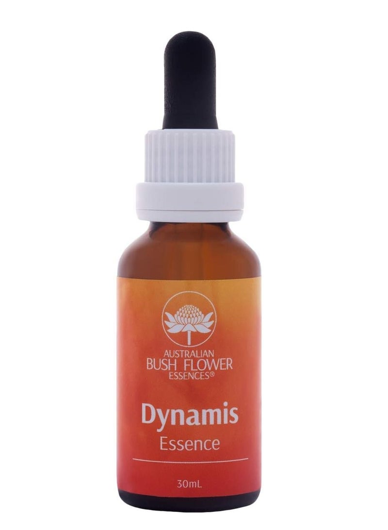 أستراليان قطرات جوهر ديناميس 30 مل زجاجة قطارة تدعم تحفيزك وحماسك جوهر زهرة الأدغال الأسترالية نباتي خالٍ من القسوة وغير معدل وراثيًا