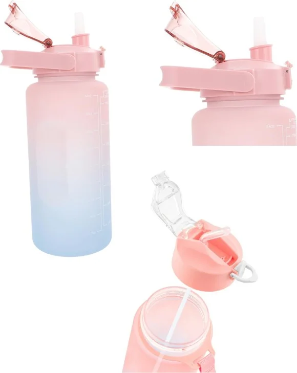 Temel Basic 2 Li Motivation Flask Pink Lid