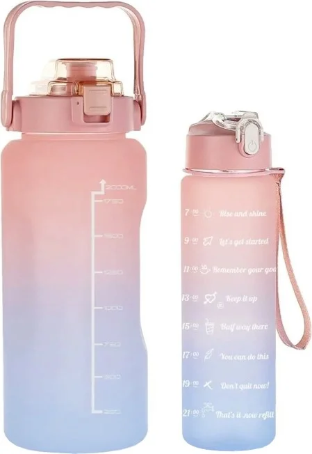 Temel Basic 2 Li Motivation Flask Pink Lid