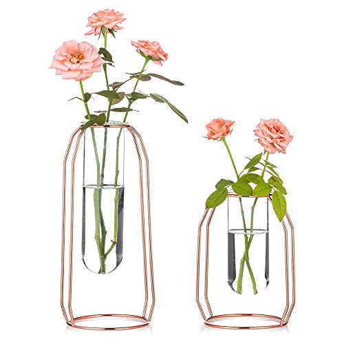 NUPTIO Vases Set of 2 Glass Vases with Metal Frame, Modern Rose Gold Frame Cylinder Clear Vase Planter Terrariums, Flower Holder Decorations for Wedding Living Room, Office, Party (Rose Gold, S+L) - Image 1