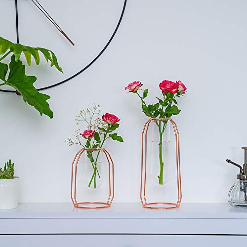 NUPTIO Vases Set of 2 Glass Vases with Metal Frame, Modern Rose Gold Frame Cylinder Clear Vase Planter Terrariums, Flower Holder Decorations for Wedding Living Room, Office, Party (Rose Gold, S+L) - Image 3