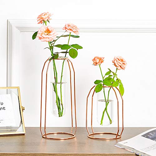 NUPTIO Vases Set of 2 Glass Vases with Metal Frame, Modern Rose Gold Frame Cylinder Clear Vase Planter Terrariums, Flower Holder Decorations for Wedding Living Room, Office, Party (Rose Gold, S+L) - Image 2